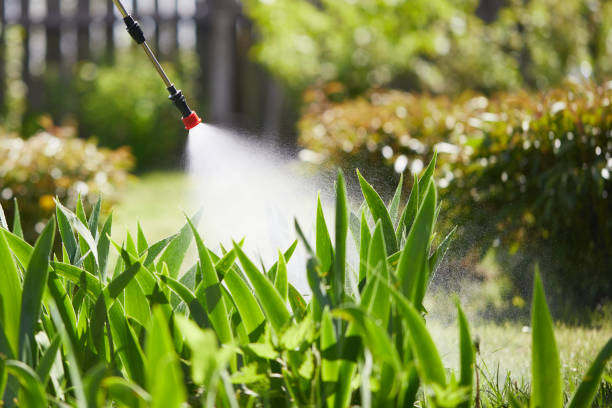 Tamper-Resistant Bait Stations for Rodents in Ephrata