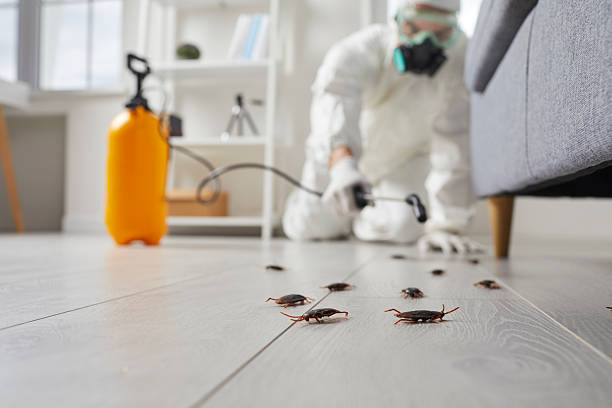 Commercial Rodent Management in Ephrata